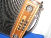 Delicia 21 button 8 bass accordion
